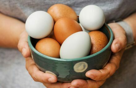 Everything you need to know all about choline!