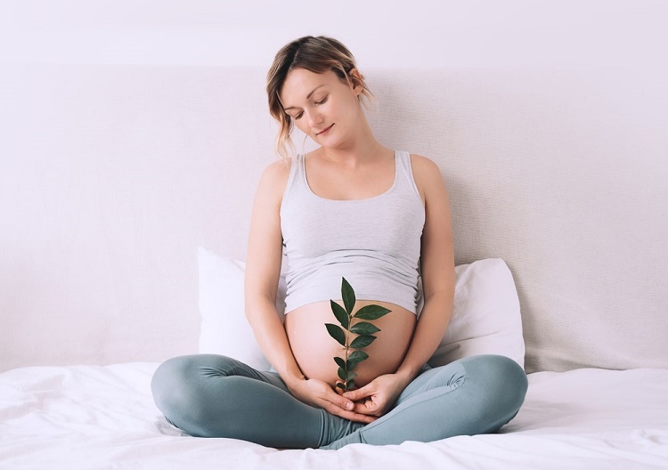 Routine Testing For Pregnancy: First, Second, And Third Trimester
